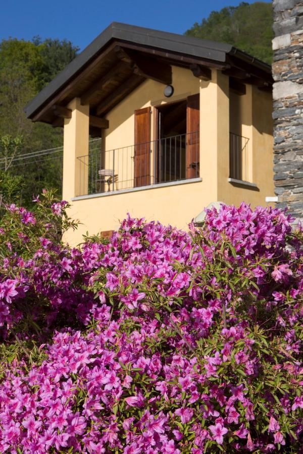 Violina Casa Vacanze เปตเตนาสโก ภายนอก รูปภาพ